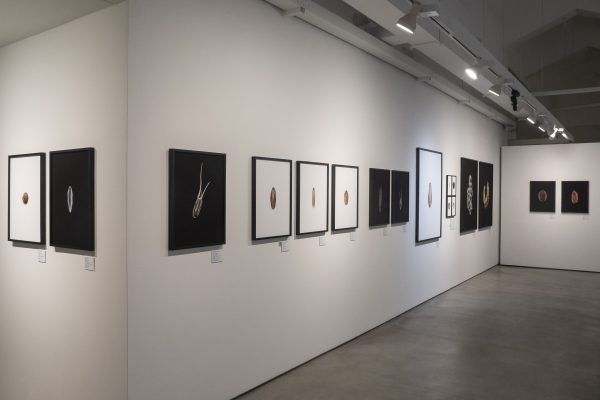 "Histoires de graines", Goeun Museum of Photography. Du 23/04/2026 au 30/08/2026. Salle 2. Mur D. République de Corée, Busan, le 23/04/2026