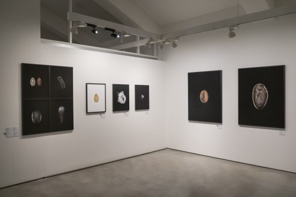 "Histoires de graines", Goeun Museum of Photography. Du 23/04/2026 au 30/08/2026. Salle 4. Mur G et cimaise 5. République de Corée, Busan, le 23/04/2026
