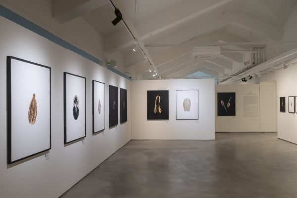 "Histoires de graines", Goeun Museum of Photography. Du 23/04/2026 au 30/08/2026. Salle 2. Mur E et cimaise 3. République de Corée, Busan, le 23/04/2026